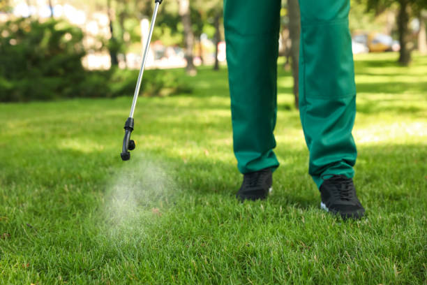 Flea Control Services in Talladega, AL