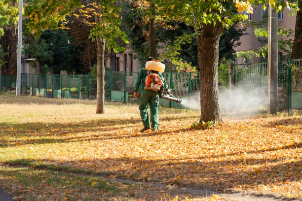 Professional Pest Control in Talladega, AL